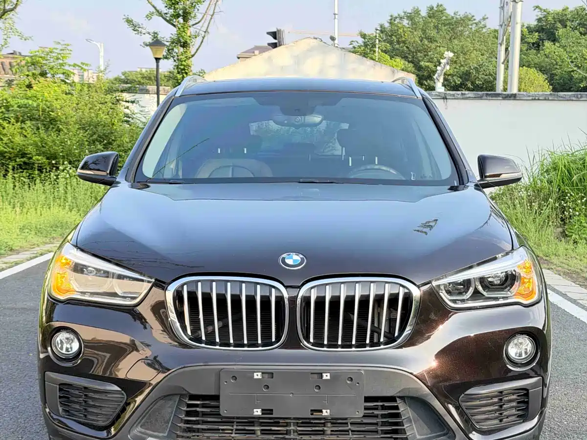 BMW X1 2018 sDrive20Li Leading Model фото 2