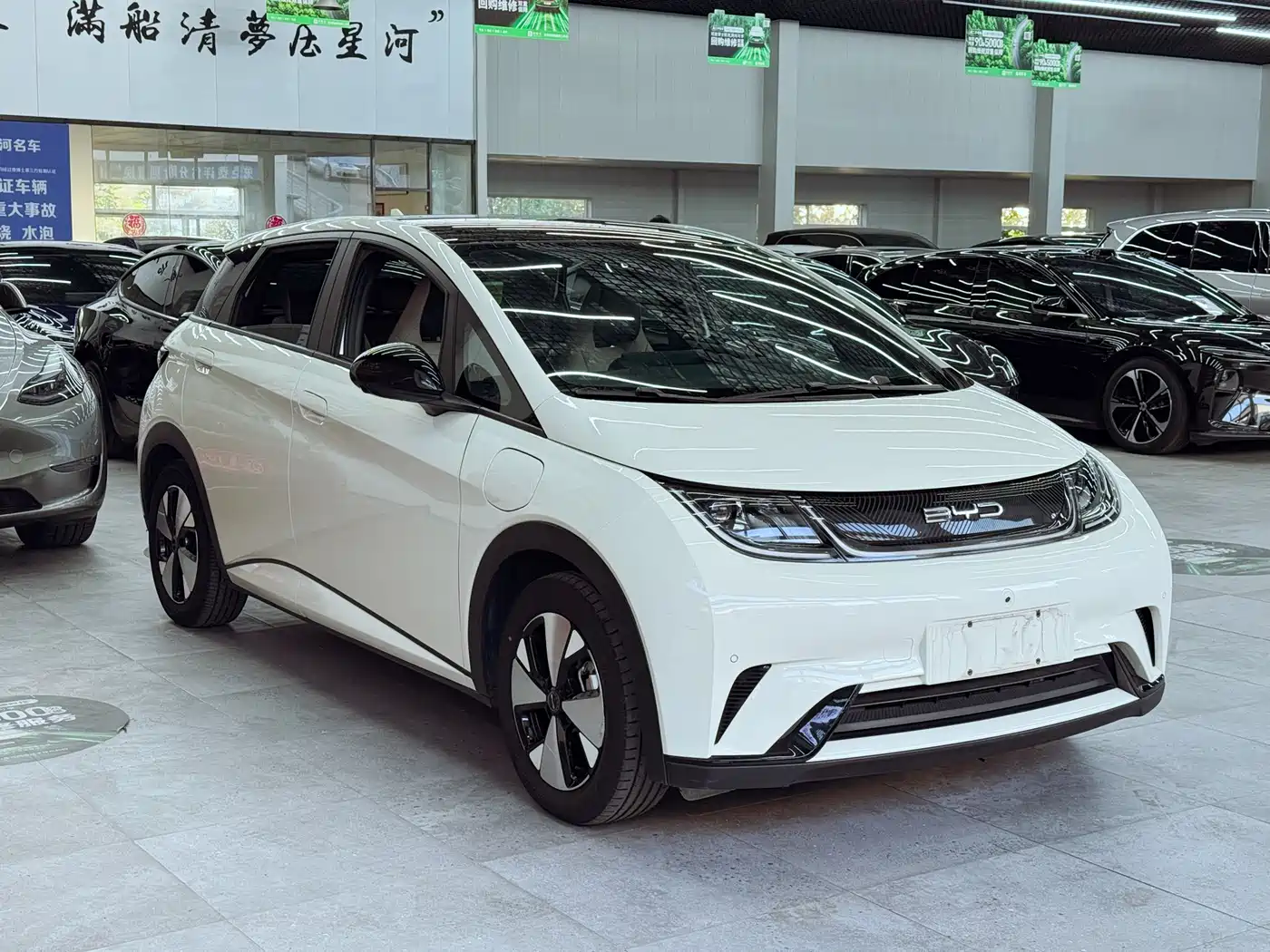 BYD Dolphin 2024 Glory Edition 420km Fashion Edition фото 3