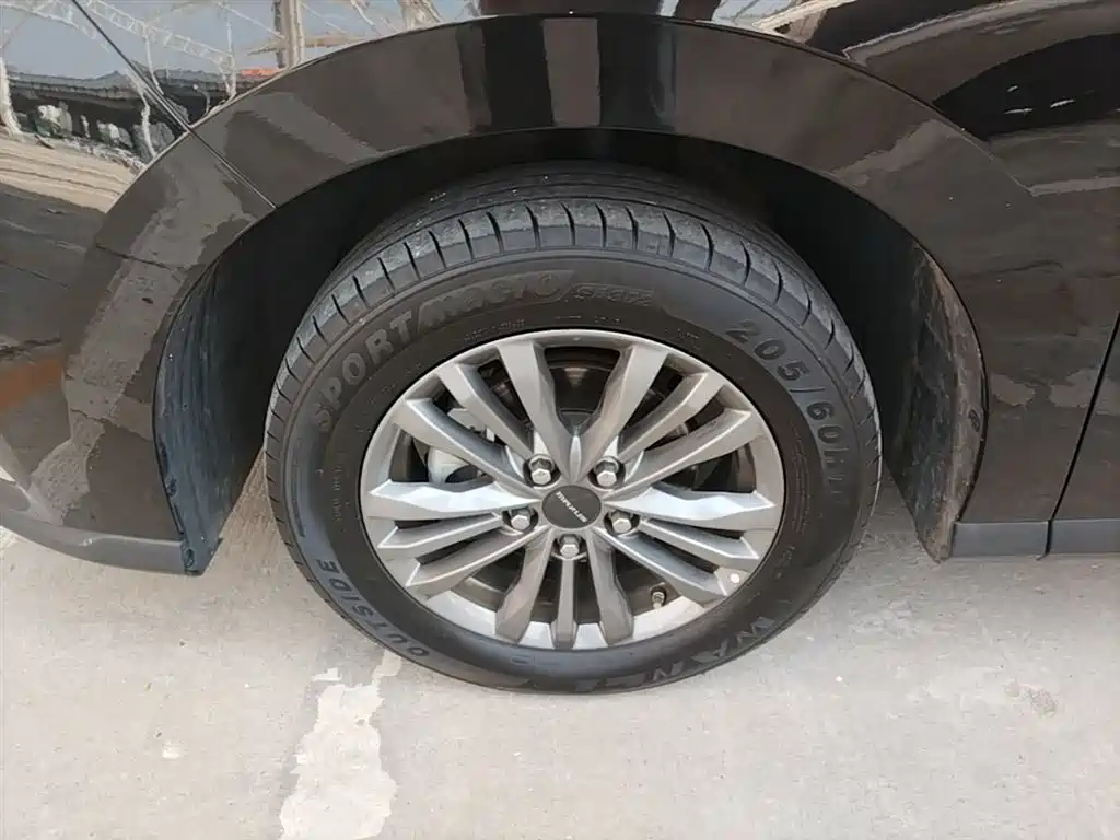 Фото 23 - Maxus Maxus G50