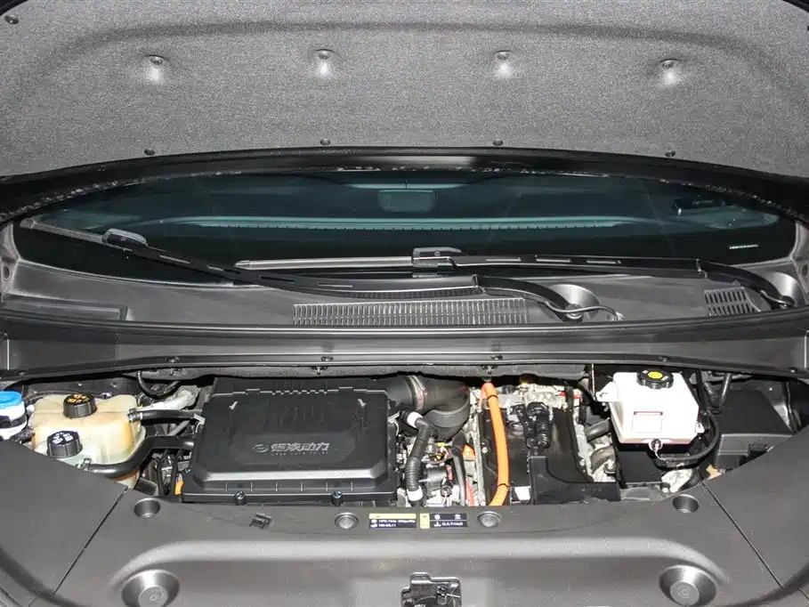 GAC Trumpchi Trumpchi M8 2023 Model Master Series Hybrid Royal Edition фото 26