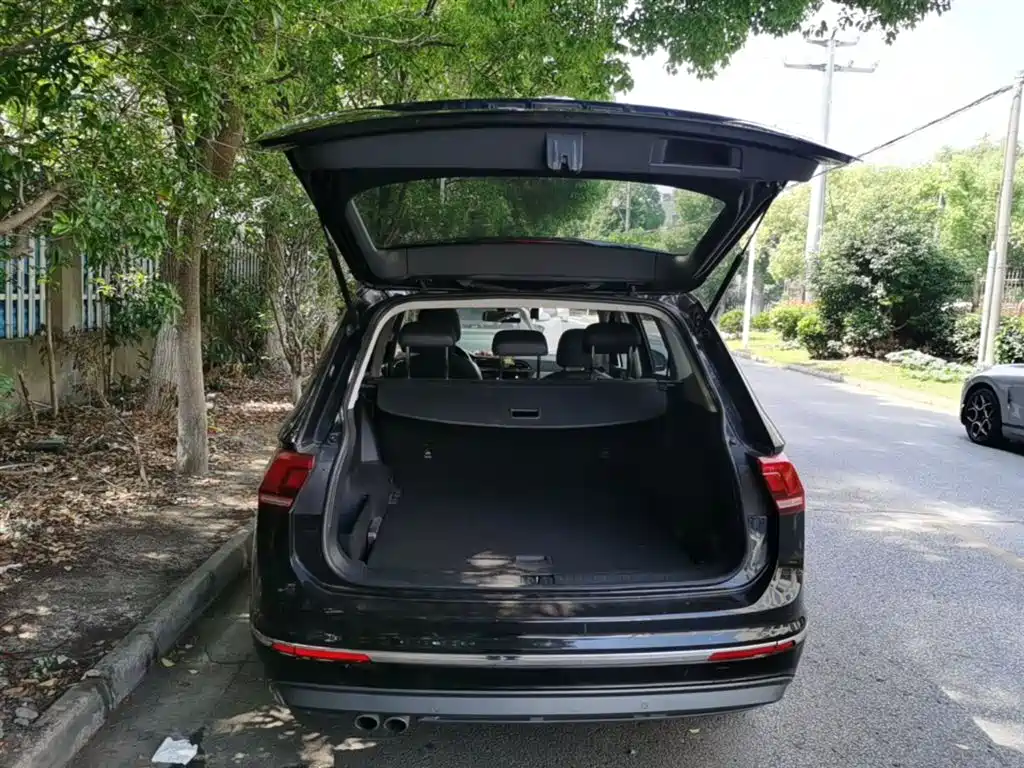 Volkswagen Tiguan L 2019 330TSI Automatic 2WD Panorama Comfort Edition China VI фото 19