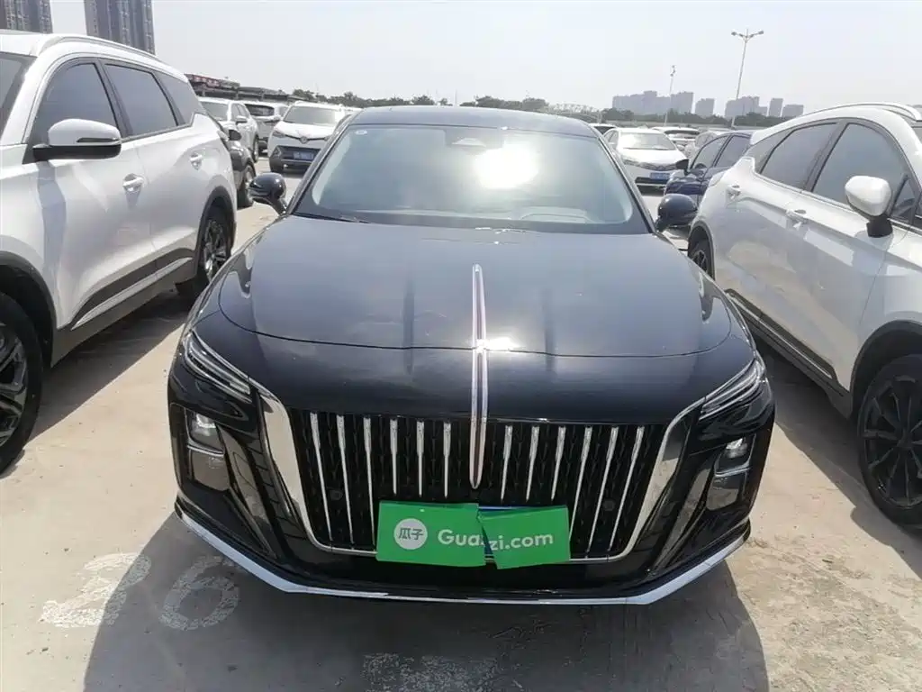 Hongqi H5 2023 2.0T Auto Smart Connect Flag Enjoy фото 3
