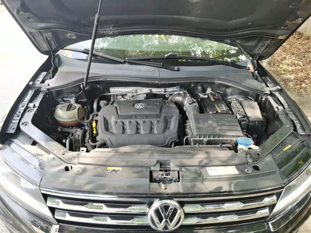 Volkswagen Tiguan L 2019 330TSI Automatic 2WD Panorama Comfort Edition China VI фото 20