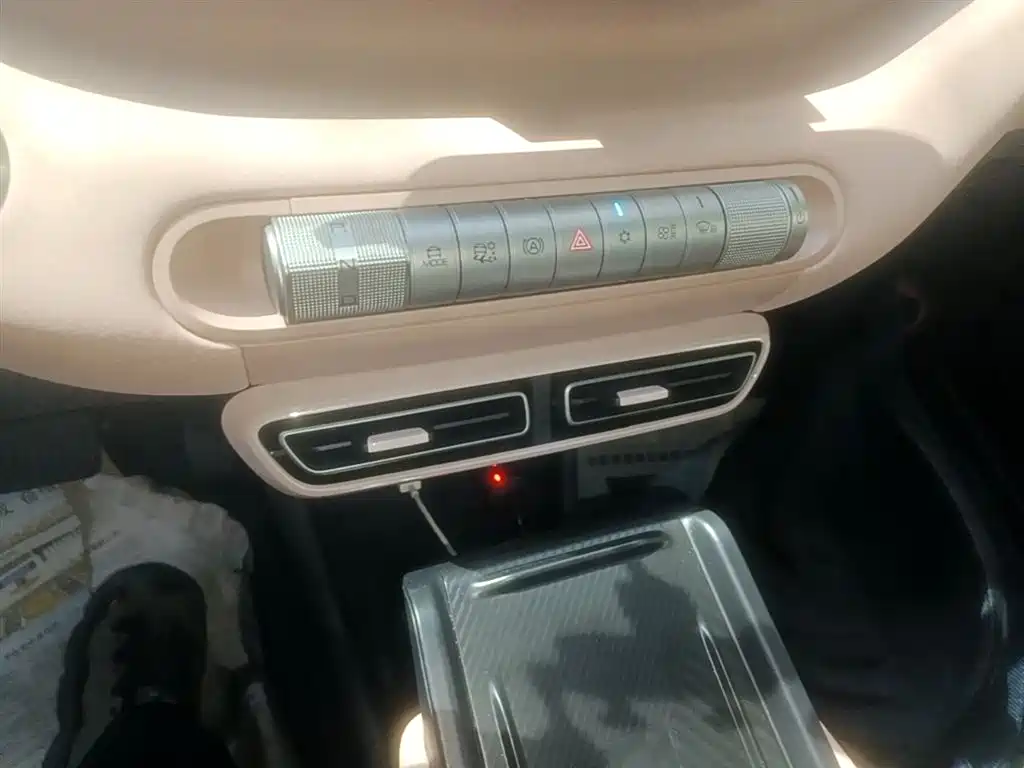 BYD Seagull 2023 Freedom Edition фото 14
