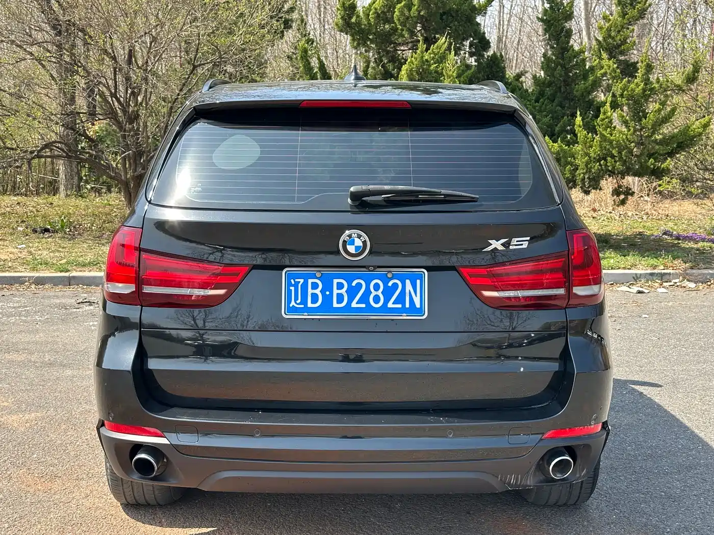 BMW X5 (Import) 2017 xDrive28i фото 10