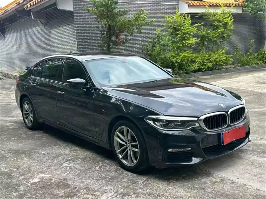 BMW 5 Series 2018 525Li M Sport Package фото 3