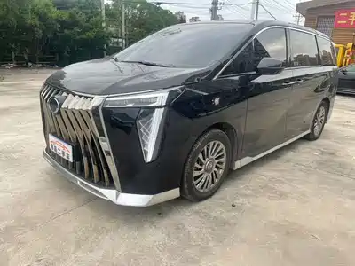 Trumpchi M8