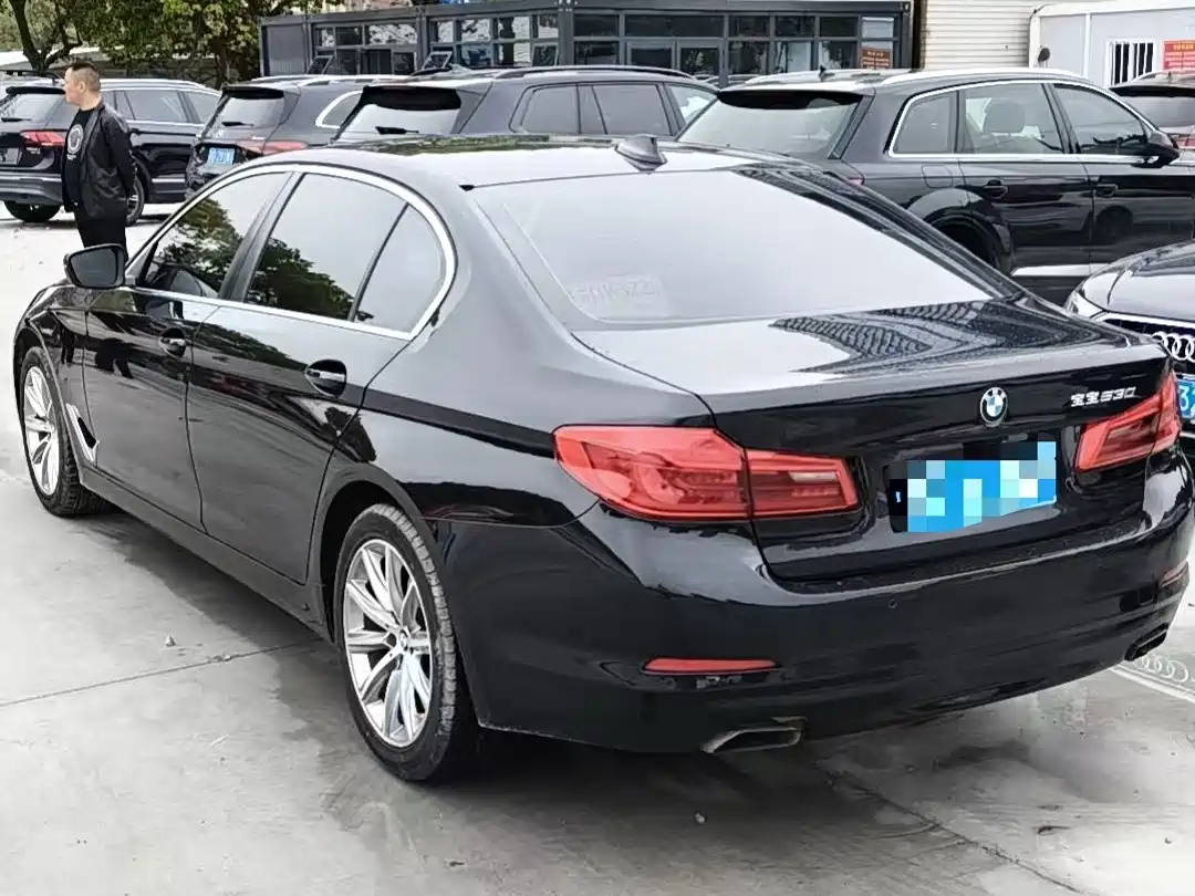 BMW 5 Series 2018 528Li Launch Special Edition фото 7