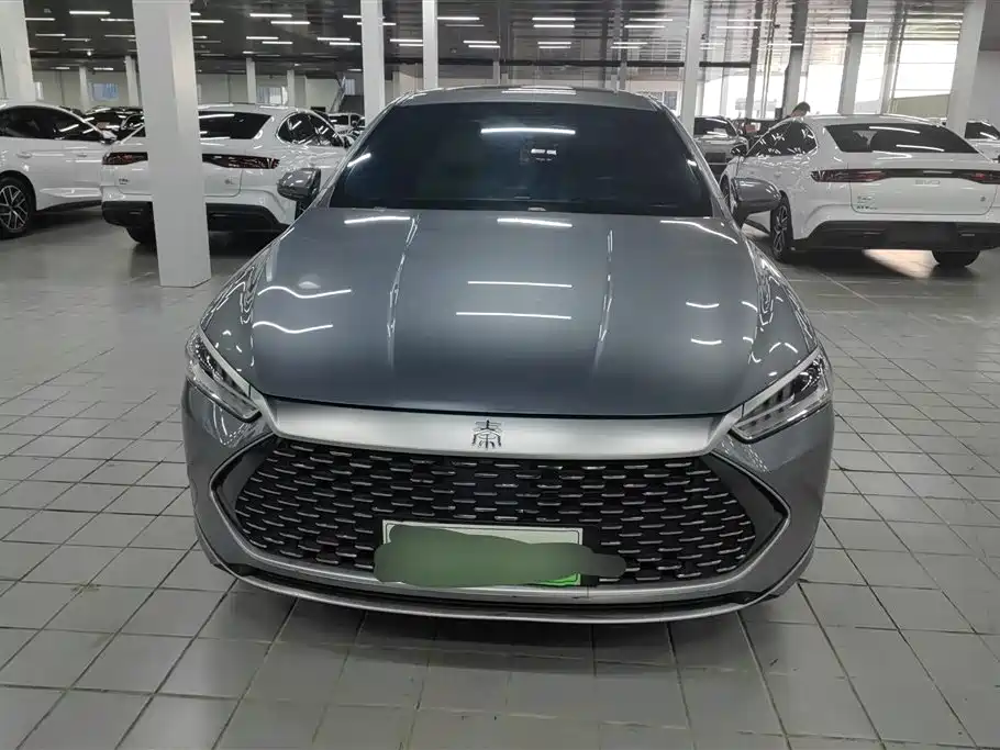 BYD Qin PLUS 2023 Champion Edition DM-i 120KM Leading Type фото 2