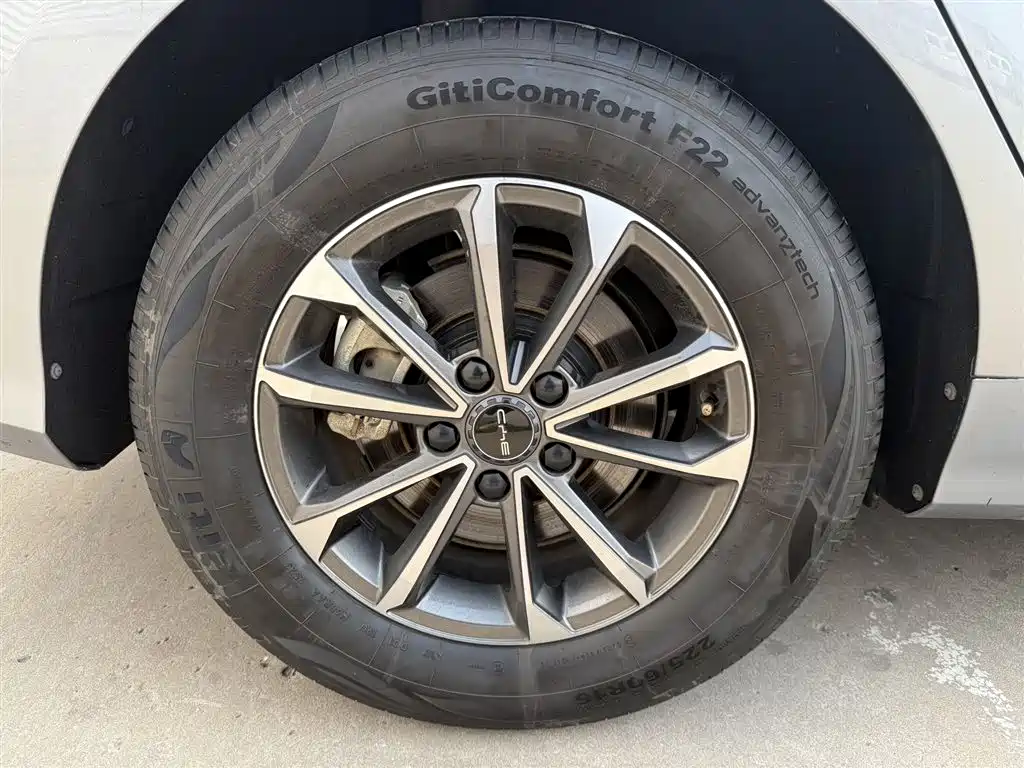 BYD Destroyer 05 2024 Glory Edition DM-i 55KM Luxury фото 10