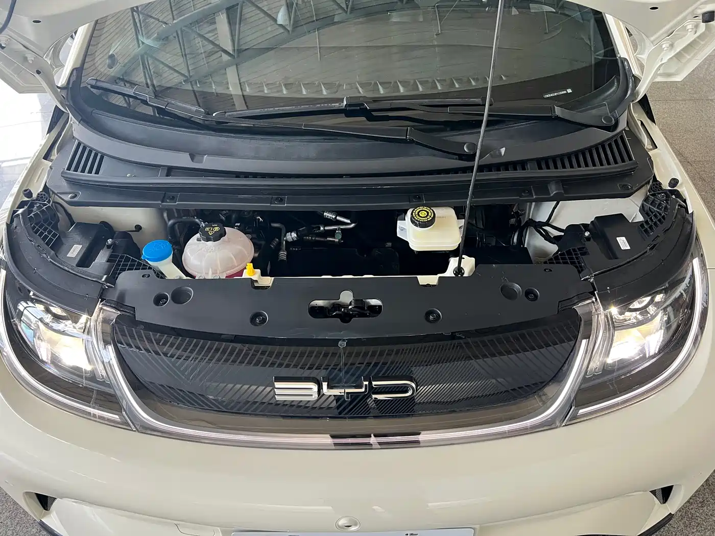 BYD Dolphin 2023 420km Fashion Edition фото 19
