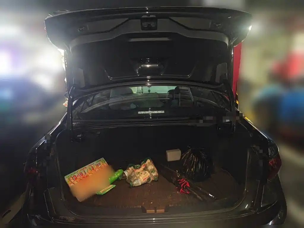 صورة 15 - Volkswagen Sagitar