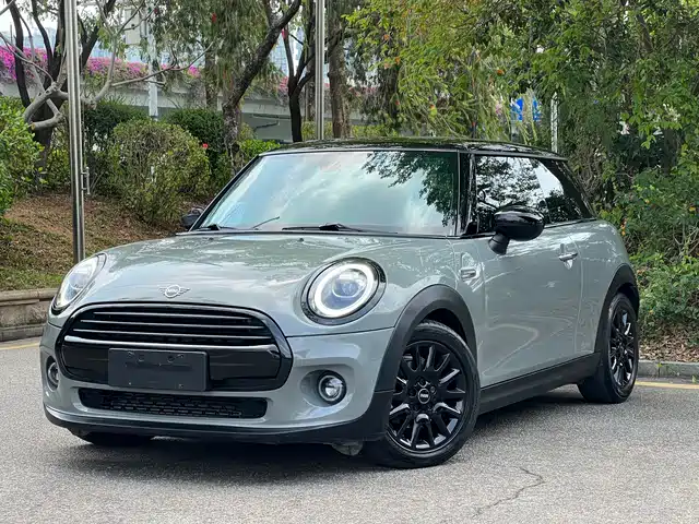 MINI 