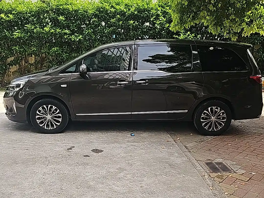 Buick GL8 2021 Land Business Class 652T Luxury фото 3