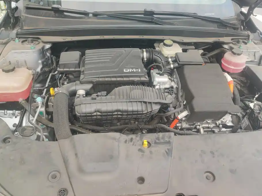 BYD Destroyer 05 2025 2024 Glory Edition DM-i 55KM Luxury