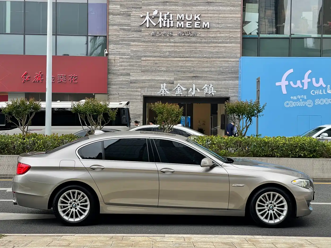 BMW 5 Series 2013 535Li Leadership фото 6