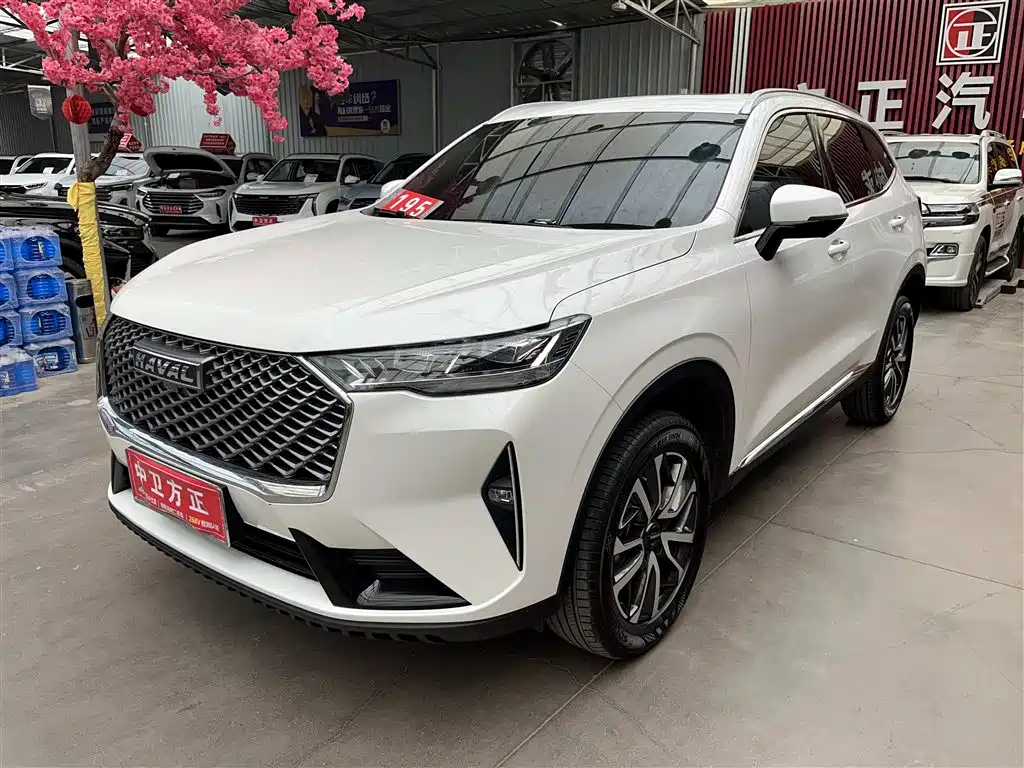 Haval H6 2022 3rd Gen 1.5T Auto 2WD Pro фото 2