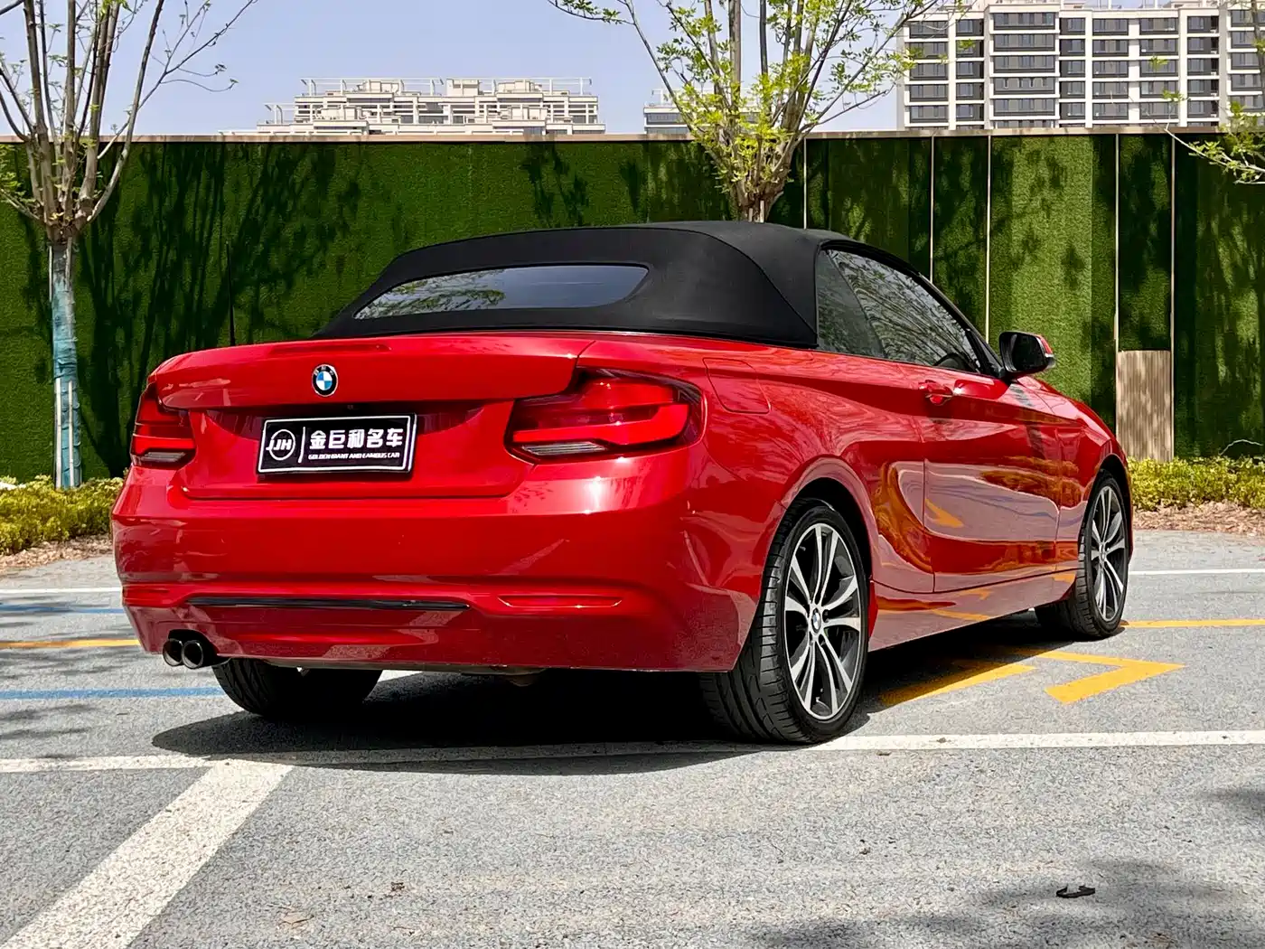 BMW 2 Series (Import) 2019 225i Convertible Coupe Sport Design Package фото 16