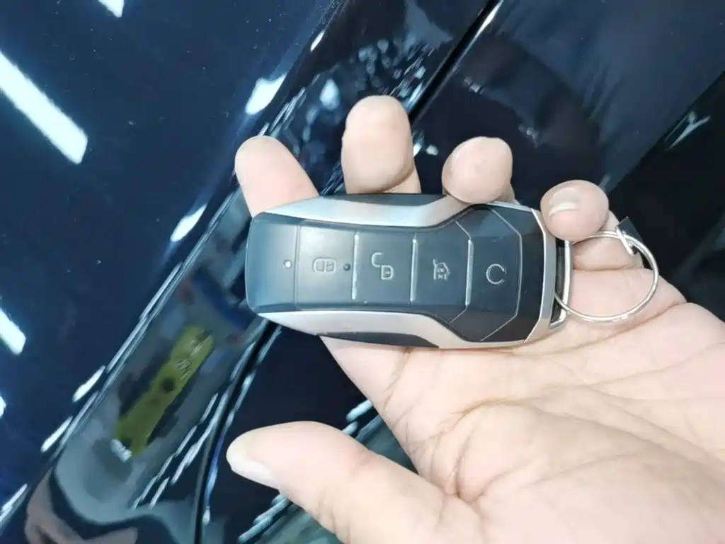 BYD Tang New Energy 2021 DM-i 112KM Honor фото 9