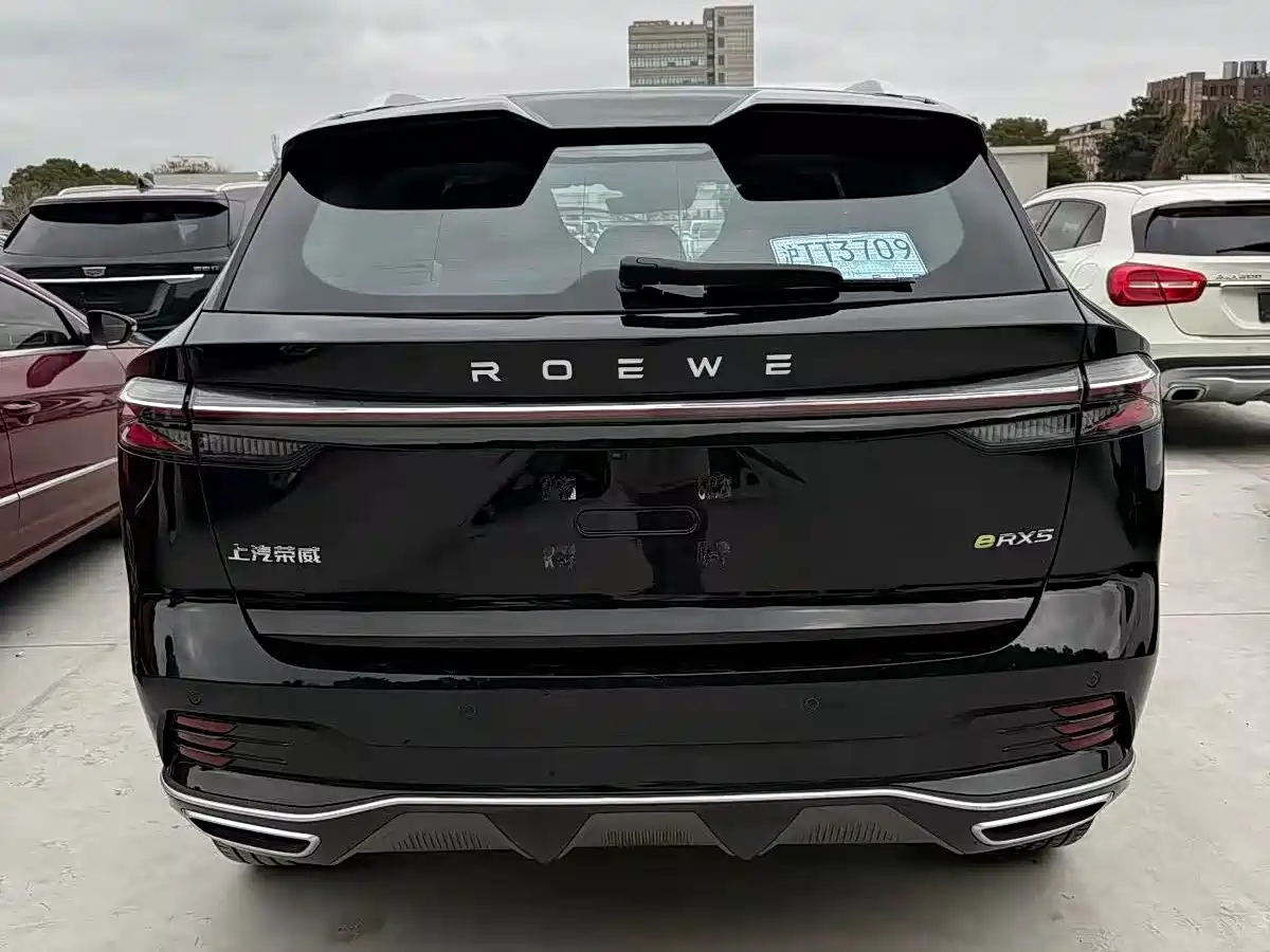 Фото 6 - Roewe RX5 New Energy