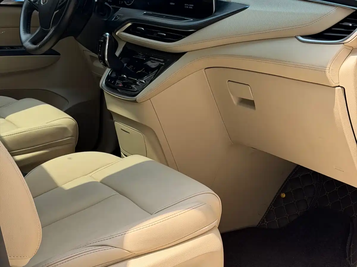 Buick GL8 2022 ES Landmark 653T Premium фото 6