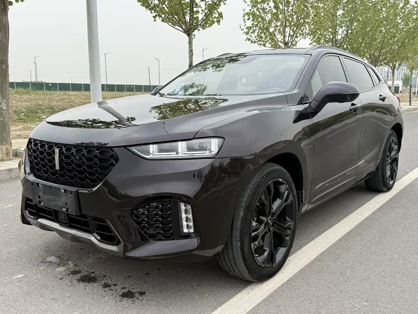 WEY VV7 2019 2017 2.0T Flagship