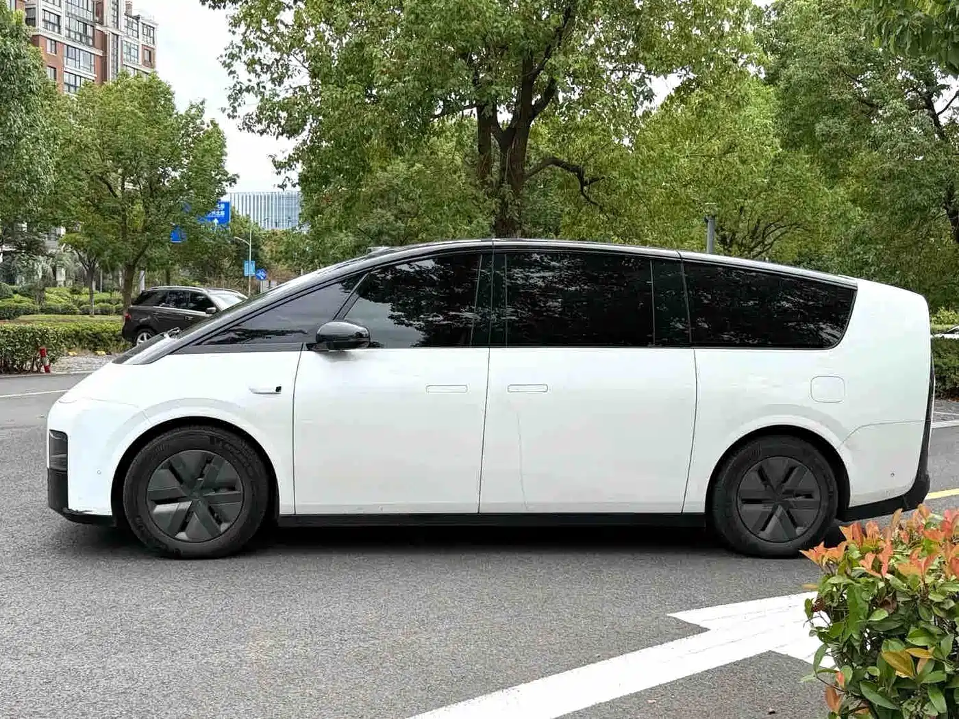 Li Auto MEGA 2025 2025 Model Home Family Special Edition