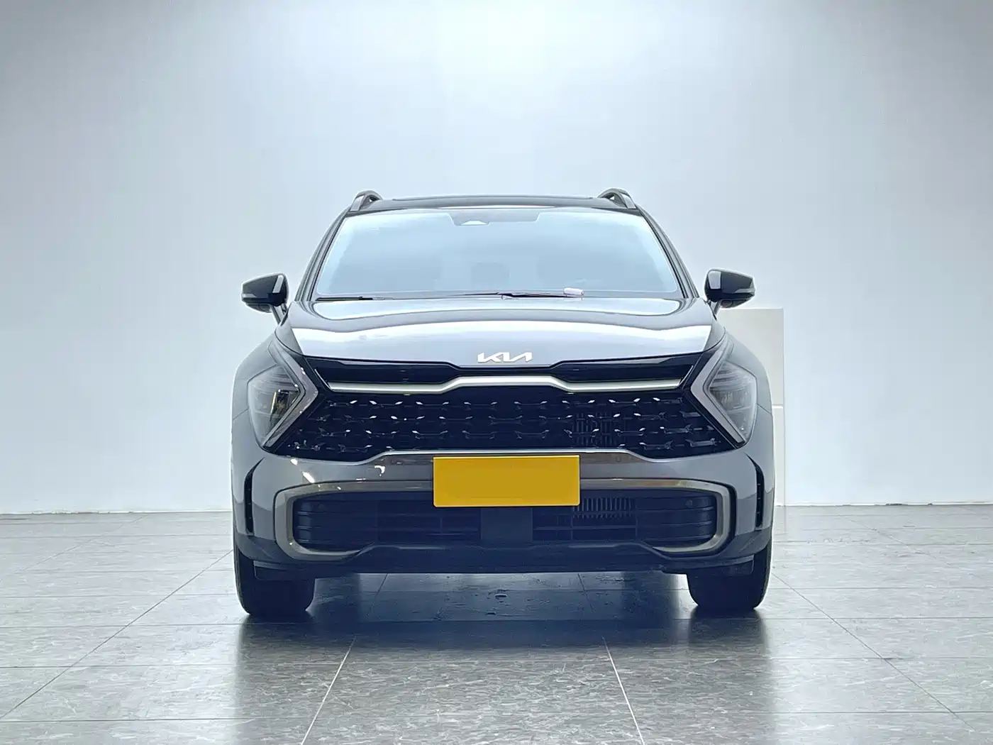 KIA LION PLATINUM EXPANDS THE WORLD