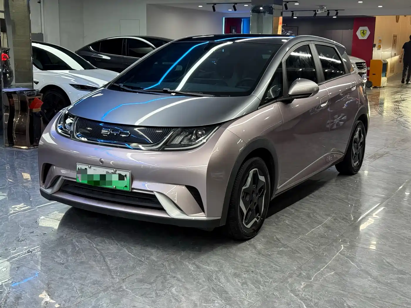 BYD Dolphin 2021 Model 405km Fashion Edition