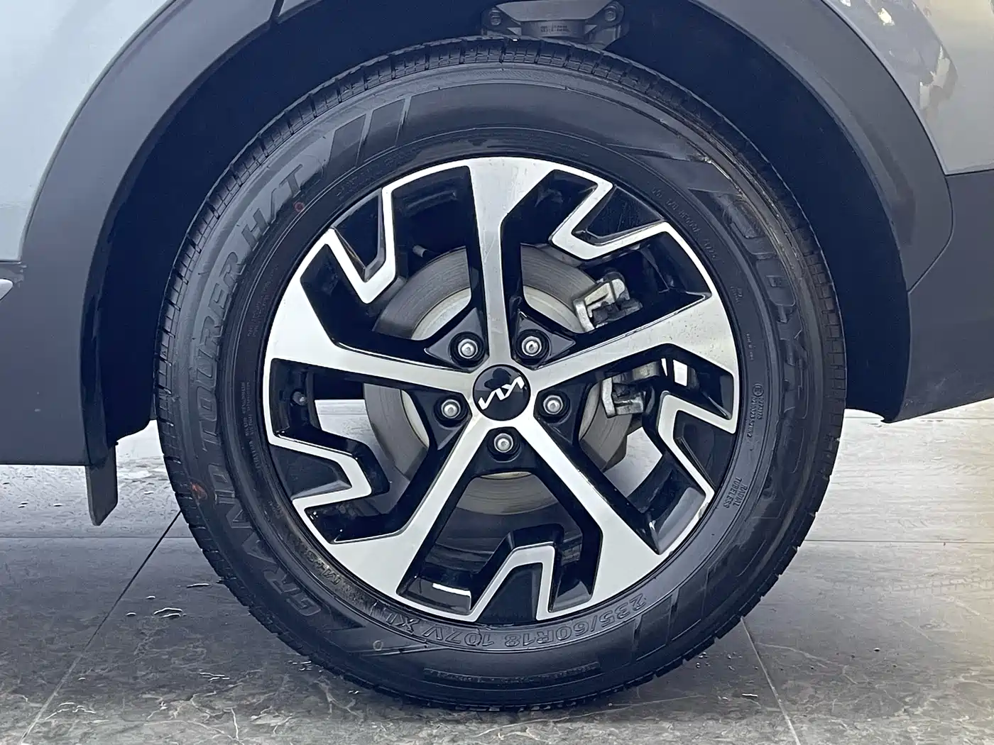 KIA LION PLATINUM EXPANDS THE WORLD