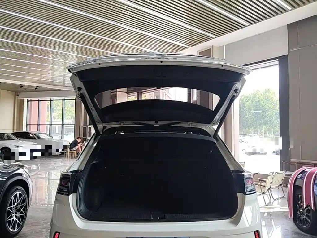Volkswagen T-ROC 2024 2023 300TSI DSG 2WD Dawn Edition
