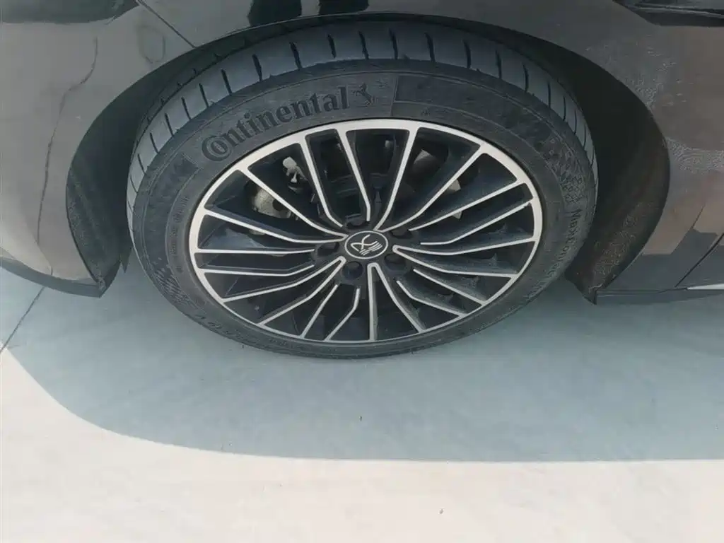 BYD Han 2021 EV Standard Range Luxury фото 23