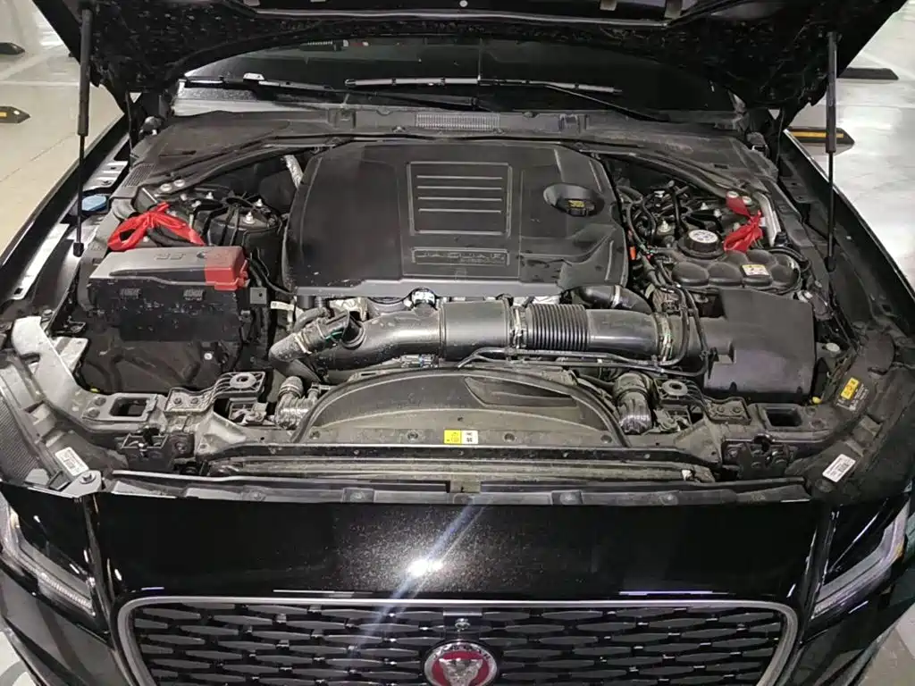 Jaguar XFL 2025 2024 2.0T P250 2WD Premium Luxury