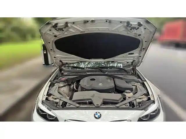 BMW 2 Series (Import) 2018 220i Convertible Coupe Sport Design Package — фото 4