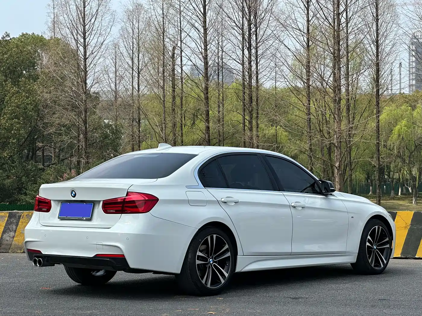 BMW 3 Series 2019 320Li M Luxury Package фото 7