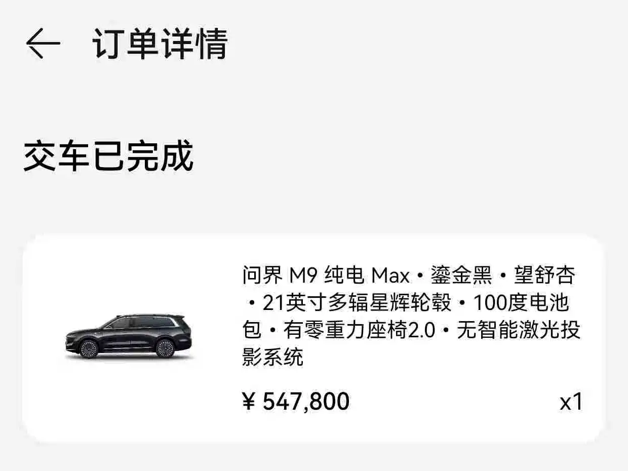 AITO Wenjie AITO M9 2024 Pure Electric Max Edition 100kWh 6-Seater фото 14