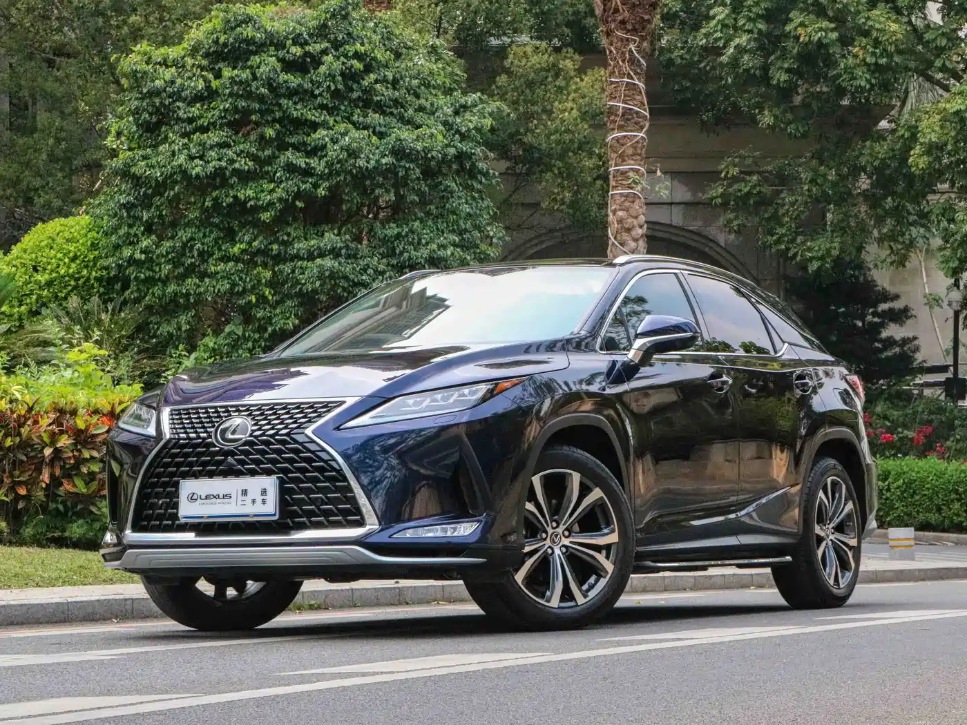 Lexus RX 2020 Facelift 300 AWD Elegance Edition