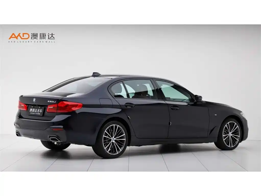BMW 5 Series 2019 Facelift 530Li Premium M Sport Package фото 3