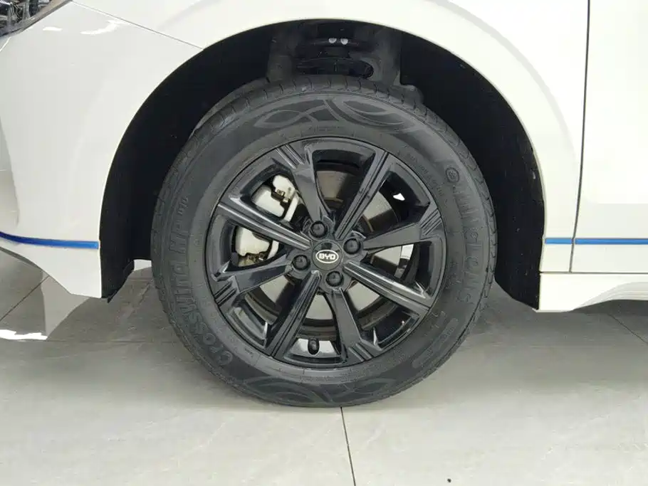 BYD e2 2022 2021 Luxury Edition