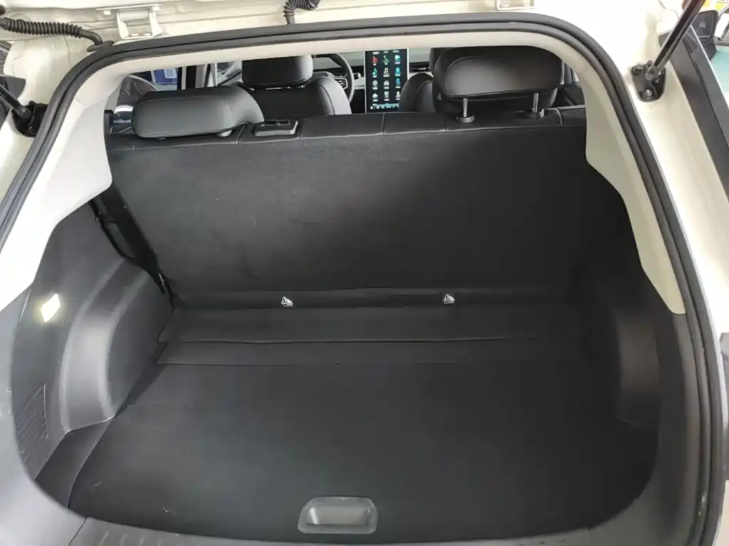 Nezha Auto Nezha V 2023 2022 Tide 300 Lite Ternary Lithium