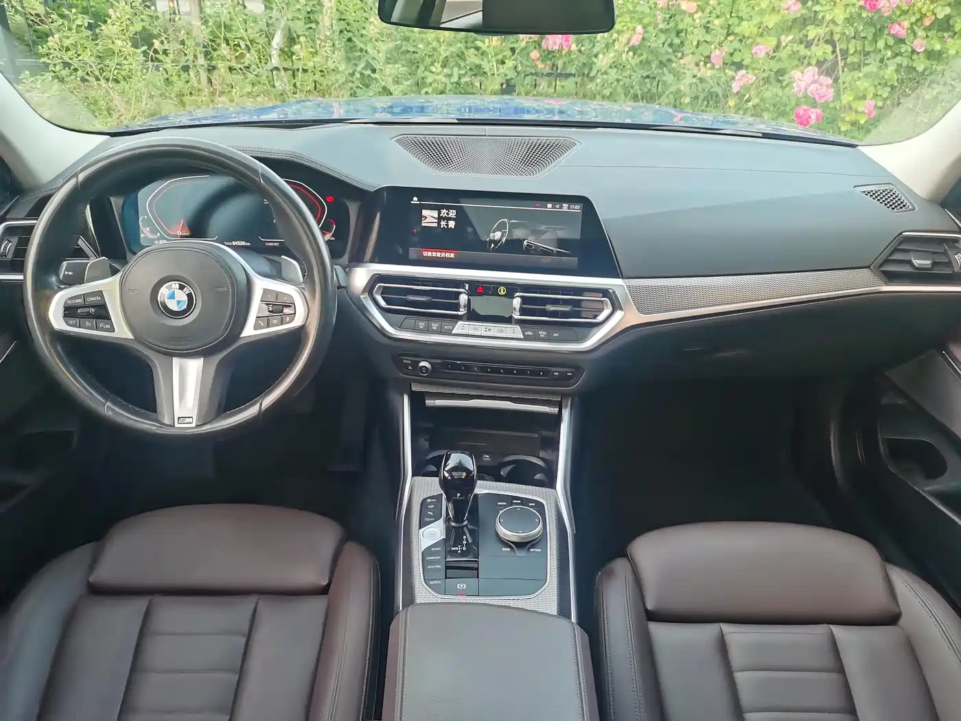 BMW 3 Series 2020 325Li M Sport Black Night Package фото 11
