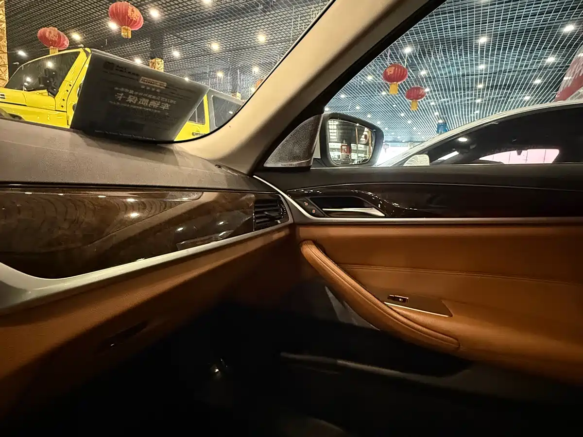BMW 5 Series 2018 528Li Launch Special Edition фото 19