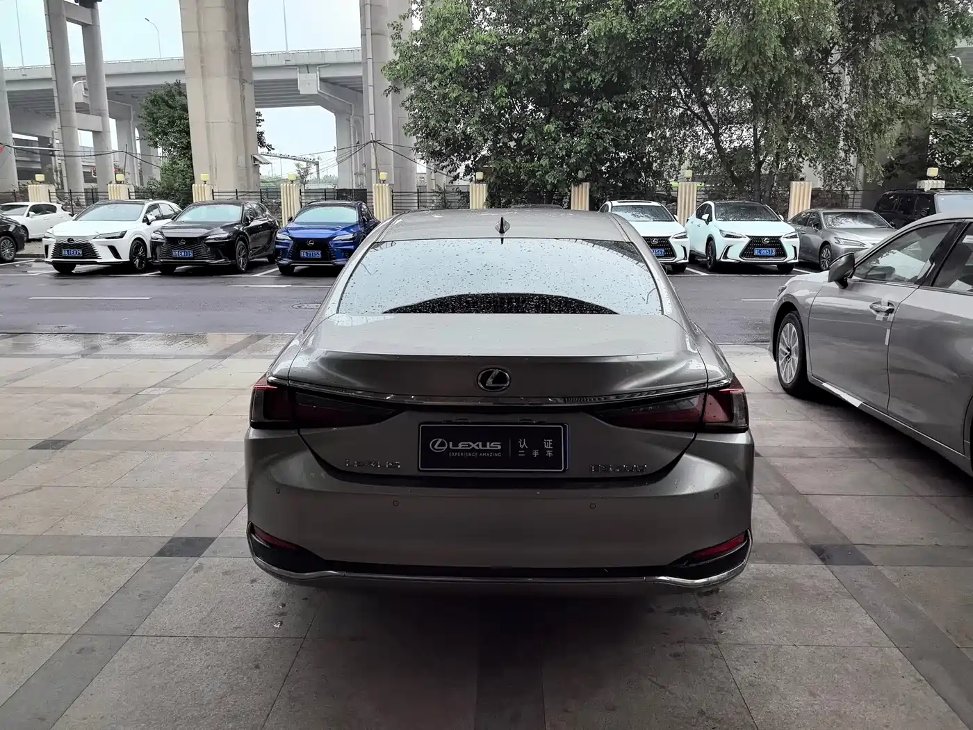 Lexus ES 2021 200 Luxury Edition фото 8