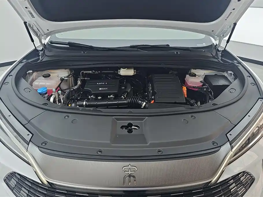 BYD Song L DM-i 2025 Smart Drive 160km Premium фото 10