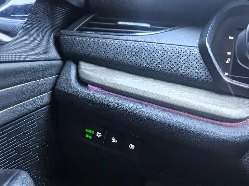Škoda Octavia 2022 PRO TSI280 Luxury Edition фото 9