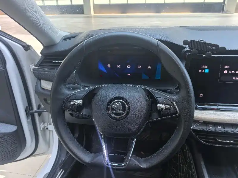 Škoda Octavia 2022 PRO TSI280 Luxury Edition фото 6