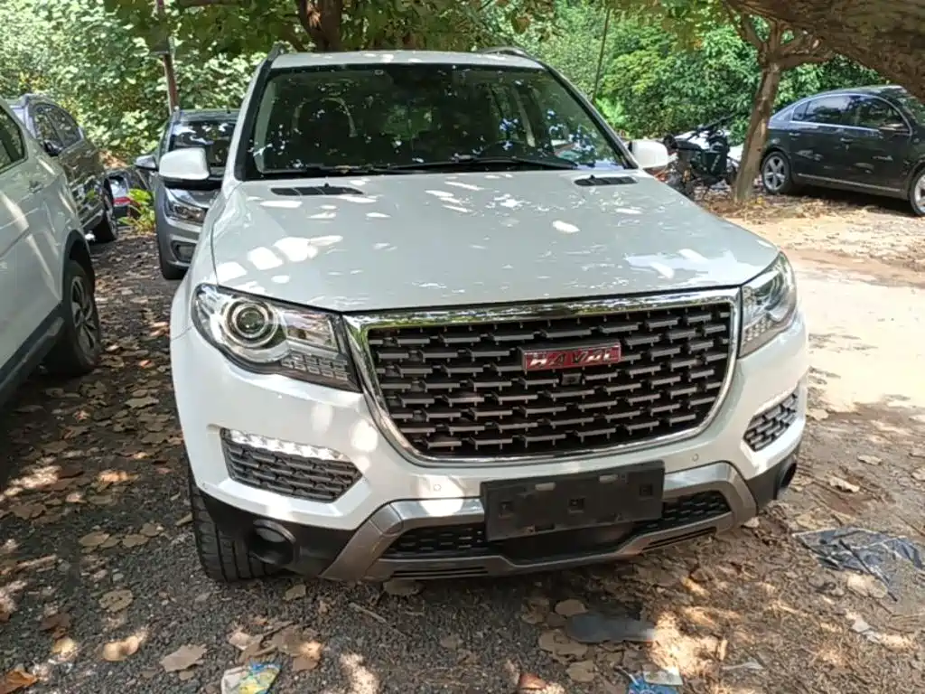 Фото 3 - Haval H8