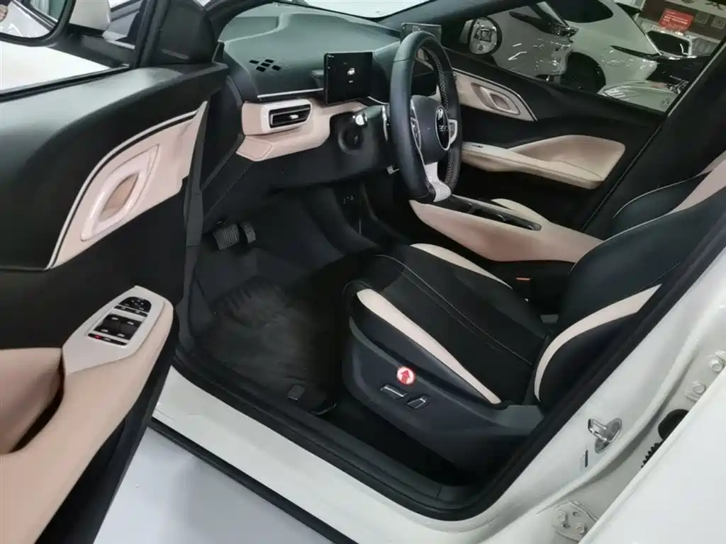 BYD Seagull 2025 Smart Drive Edition 305km Freedom Version фото 16