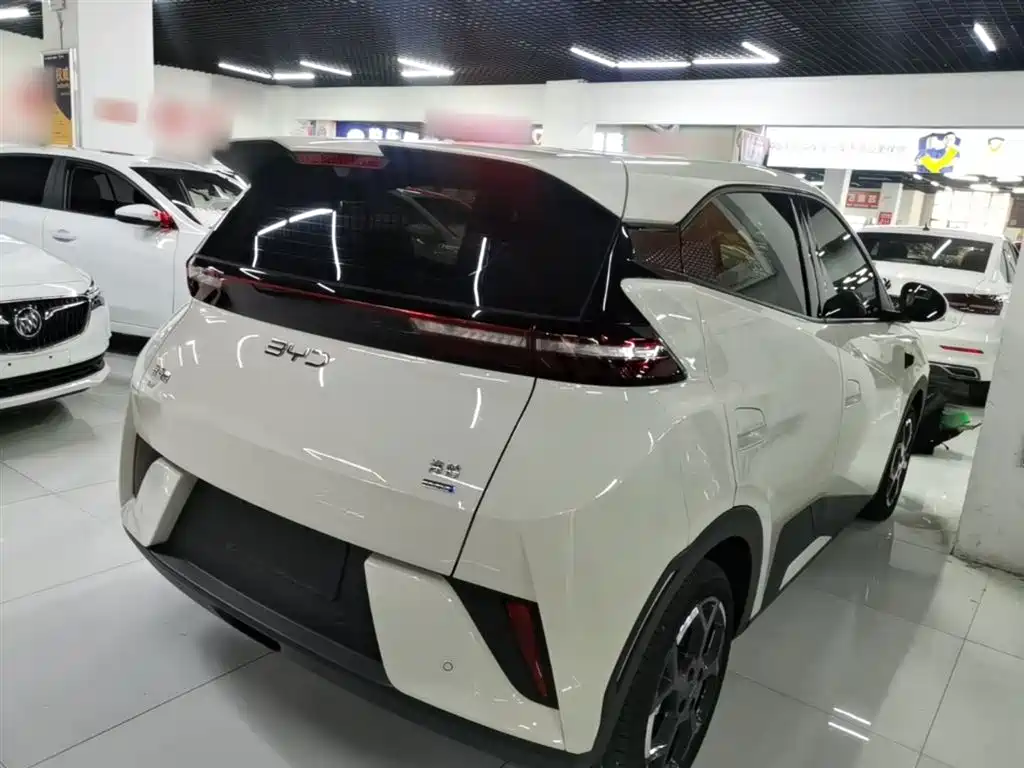 BYD Seagull 2025 Smart Drive Edition 305km Freedom Version фото 7