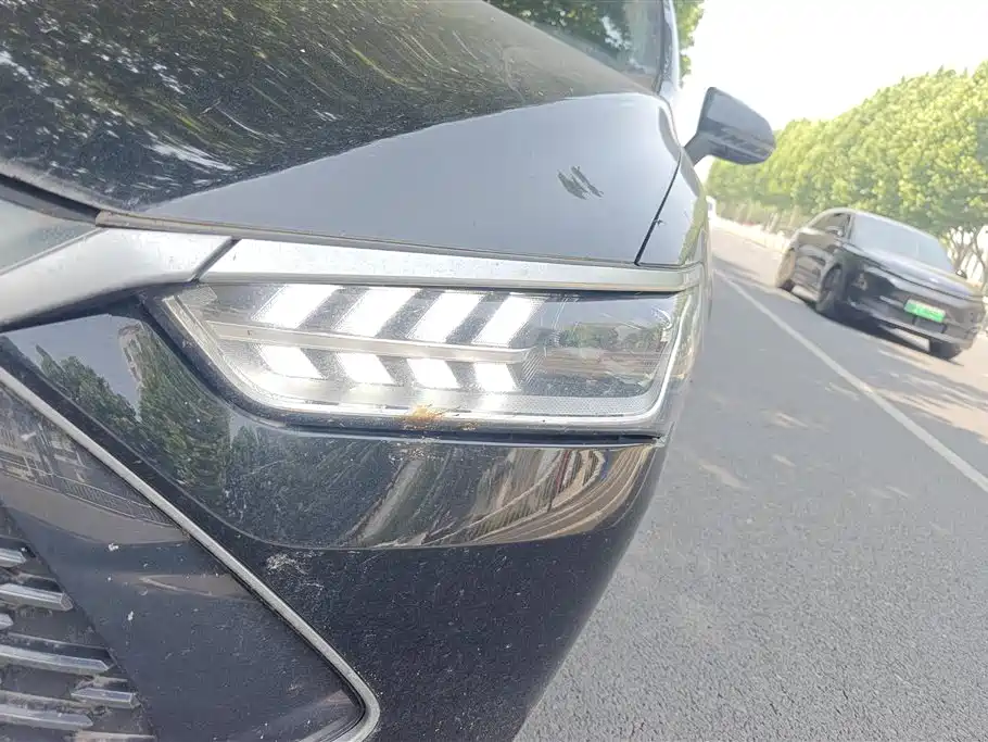 BYD Qin PLUS 2023 Champion Edition DM-i 55KM Leading фото 5